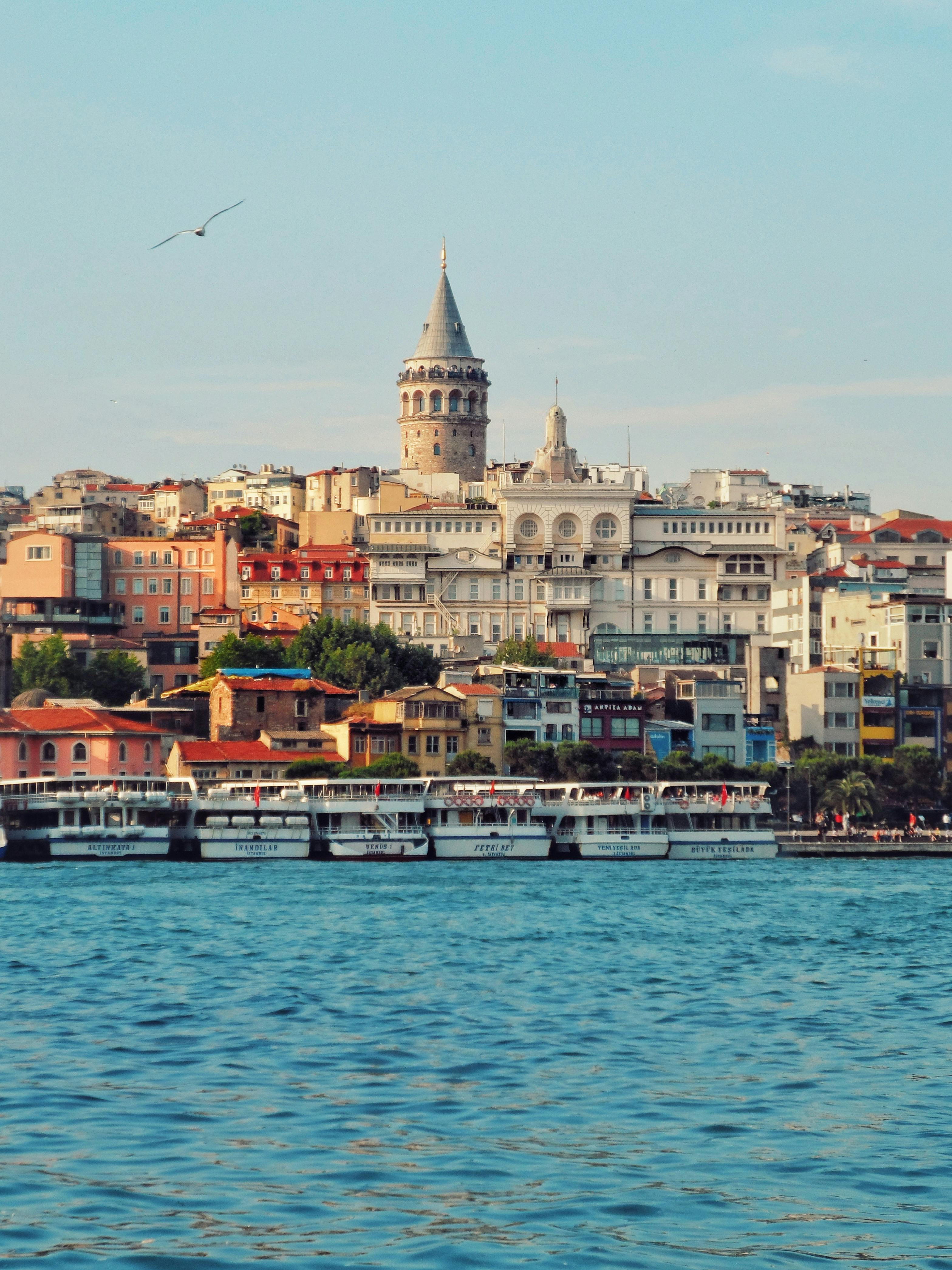 MCMV 4: O que é e para quem se destina?